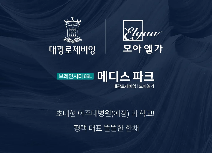 평택 브레인시티 메디스파크 이미지 5