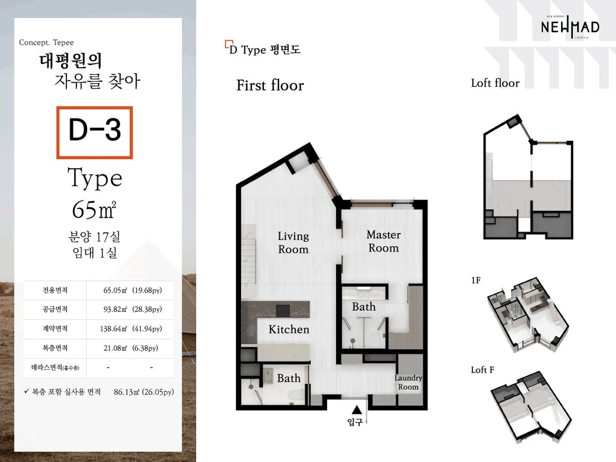 D-3 Type