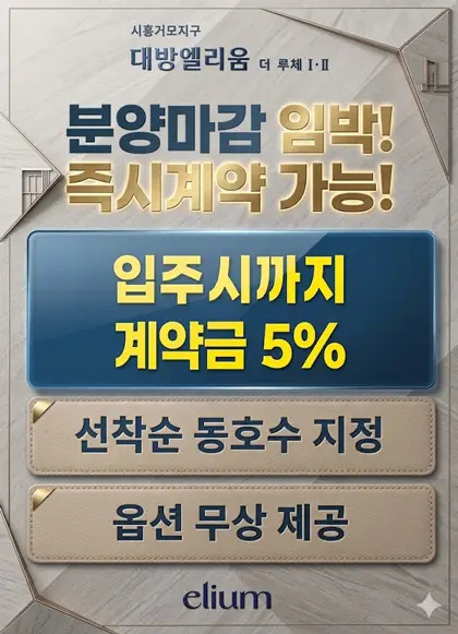 팝업