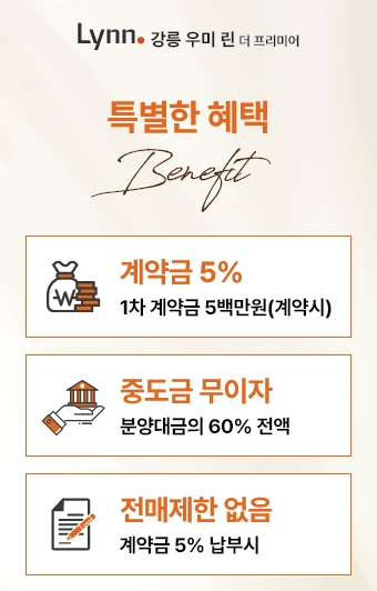 팝업