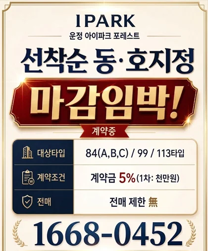 팝업
